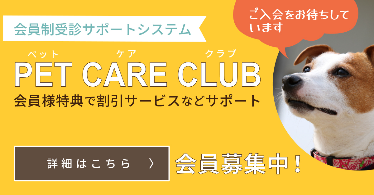 ペットケアプラン会員様は狂犬病予防接種が割引に！