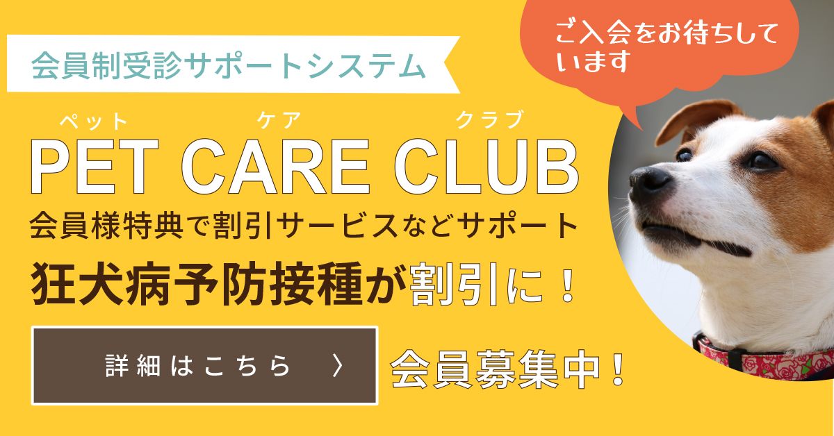 ペッツケアプラン会員様は狂犬病予防接種が割引に！