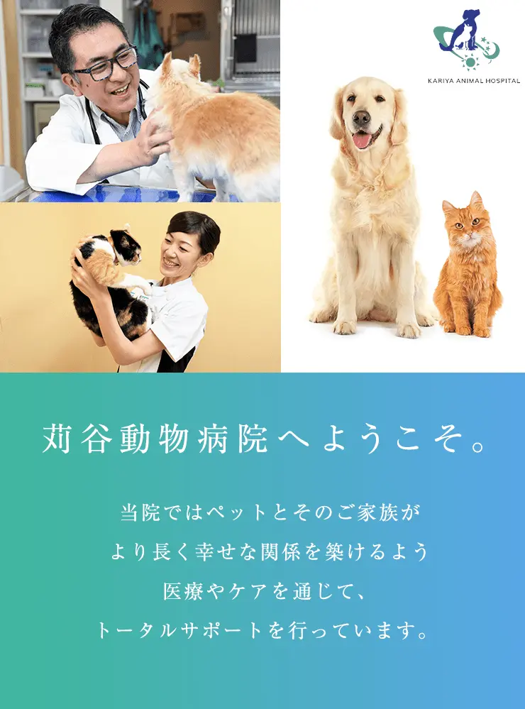 苅谷動物病院へようこそ 当院ではペットとそのご家族がより長く幸せな関係を築けるよう医療やケアを通じて、トータルサポートを行っています。