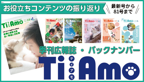 TiAmoバックナンバー