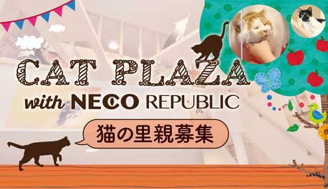 キャットプラザ